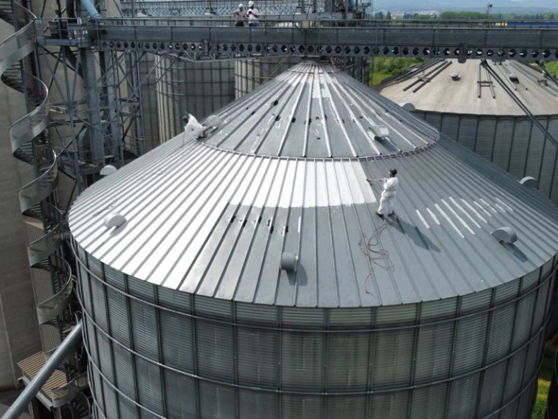 Habilitacion Industrial - Restauracion de Techos - 23